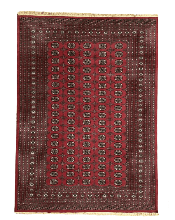 Princess Bohkara New Zealand Wool Hand Knotted Rug